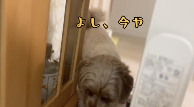 ザッ
