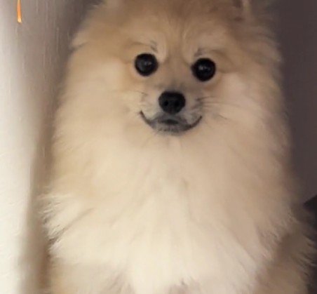 銅像のように固まっちゃった！？