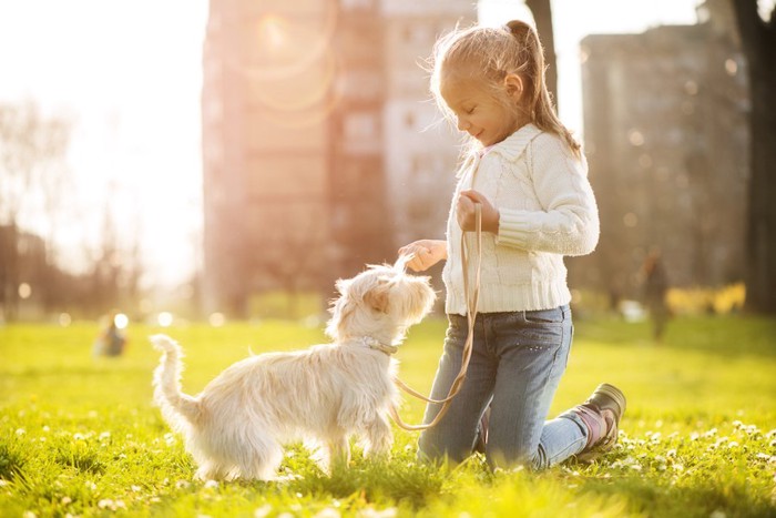 犬のリードを持つ女の子