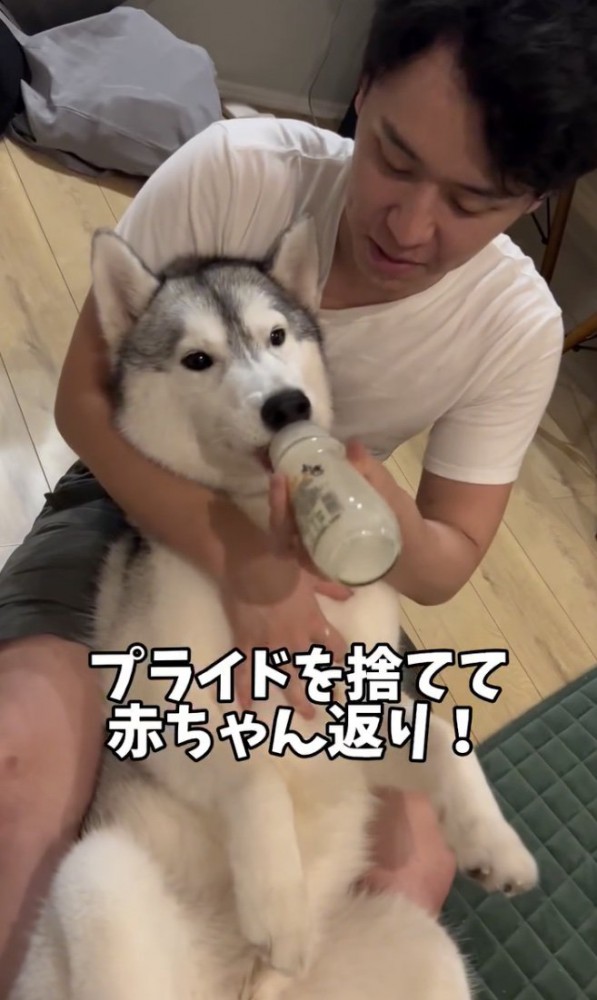 渾身の赤ちゃん返り