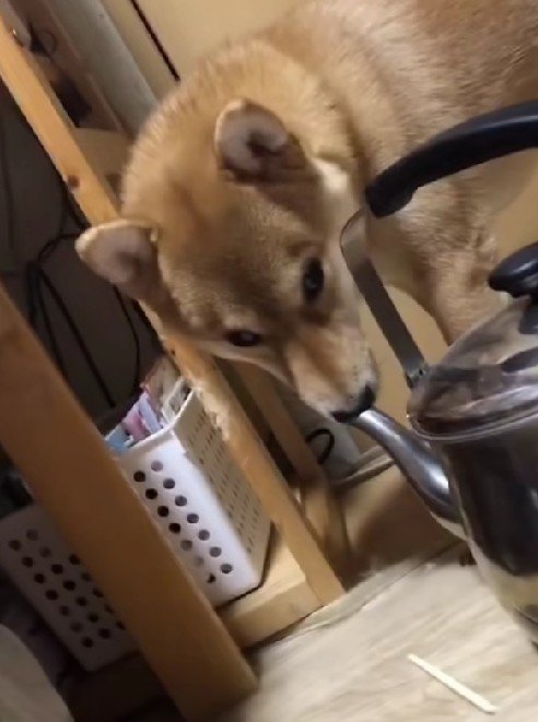 「フン！」