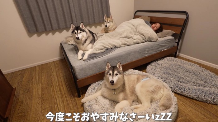 みんなで一夜を過ごす