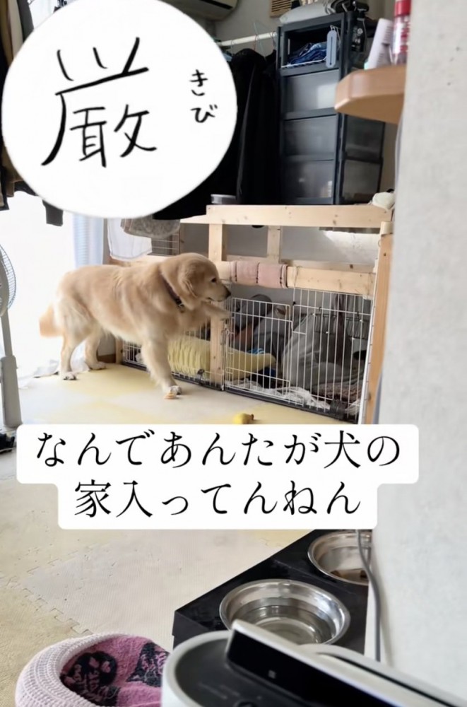 扉をチョンチョン