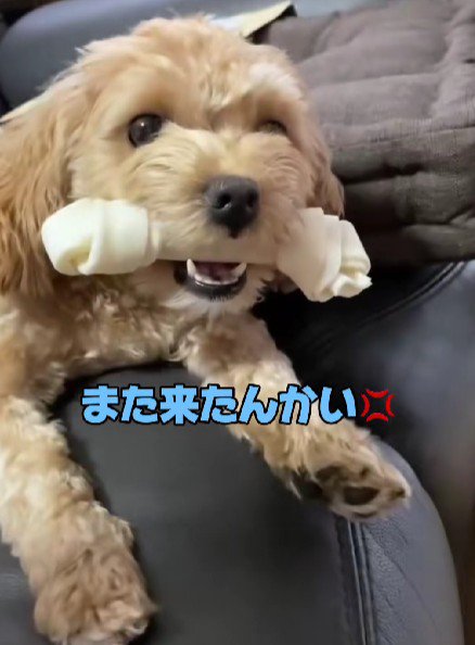 「ダメ!」