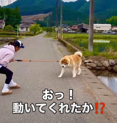 諦めたかと思いきや…