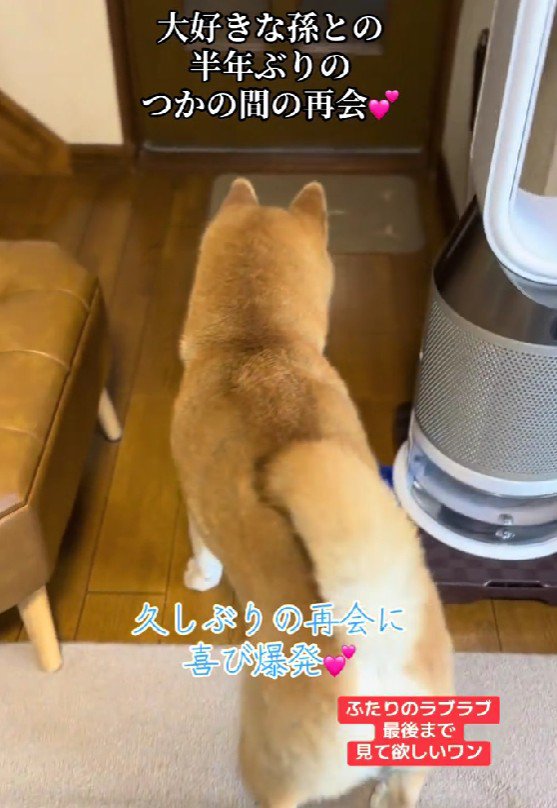 玄関で物音が！！
