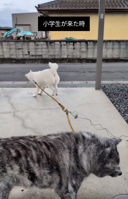 興味がないだいちくん