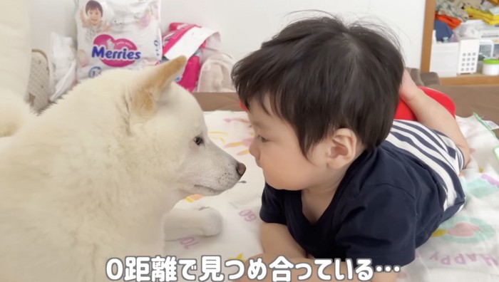 じぃーっ…
