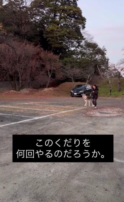 一連の流れを5回ほど…