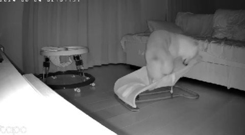 バウンサーに乗るおみそくんの姿が！！