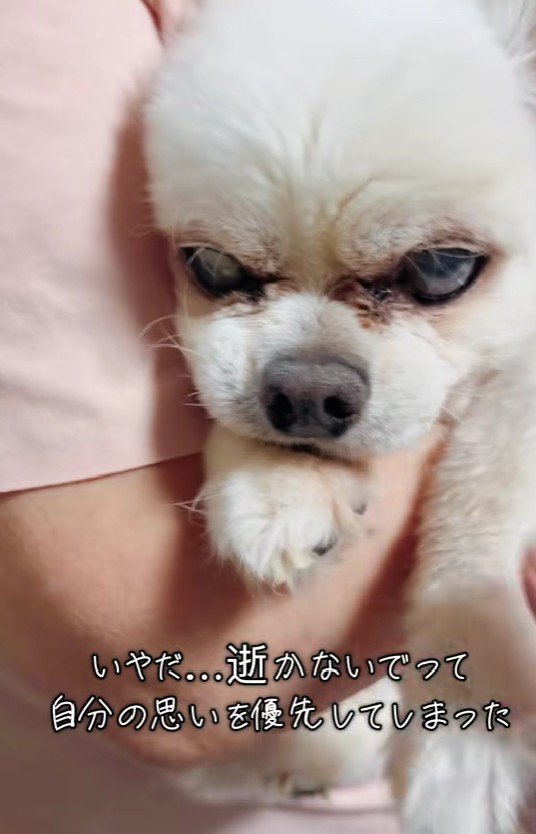 まだまだ一緒にいたい