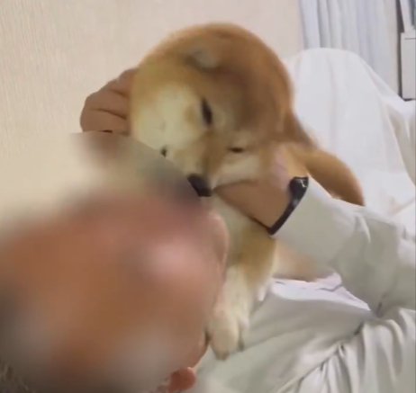 許して