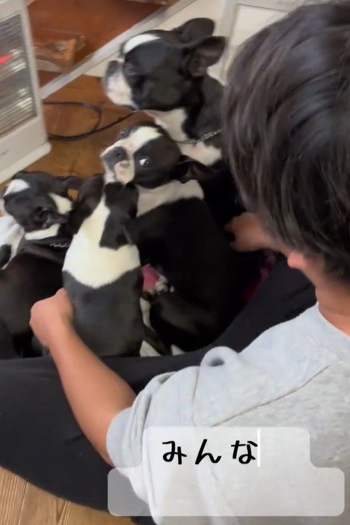 ご家族のもとに4匹が集合