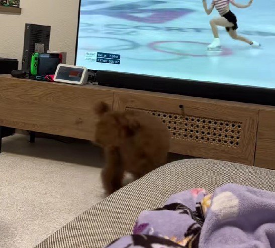 素晴らしい演技をお披露目