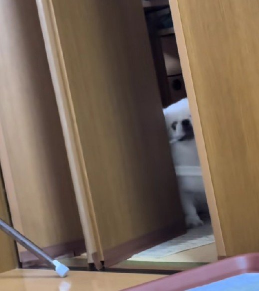 スピードを上げて…