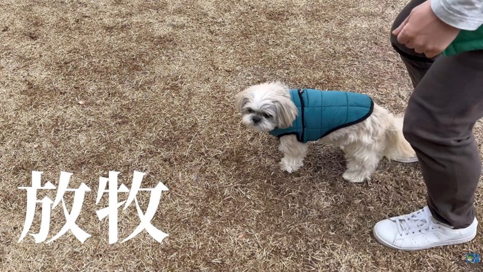 ドッグランに寄ったら…