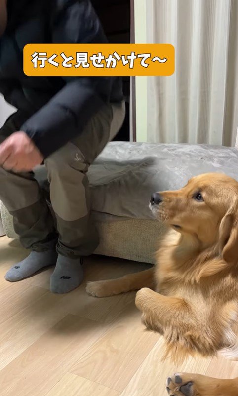 アルトくんのお散歩催促5