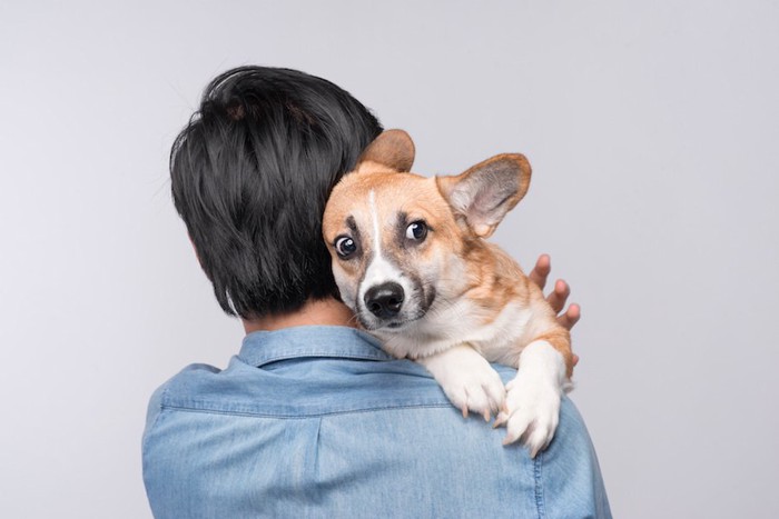 怖がって飼い主に抱きつく犬