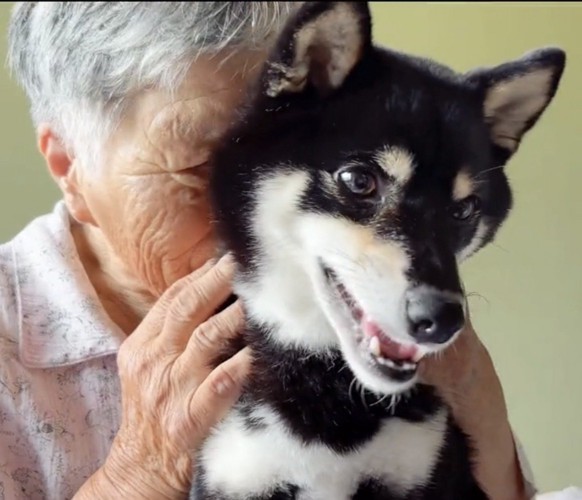 犬を抱きしめる人