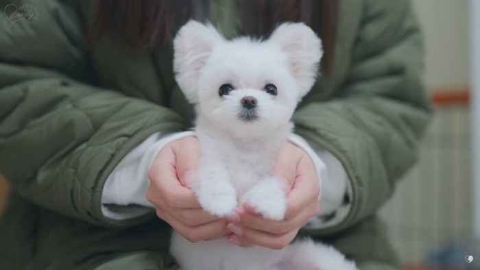 飼い主さんもびっくり！？