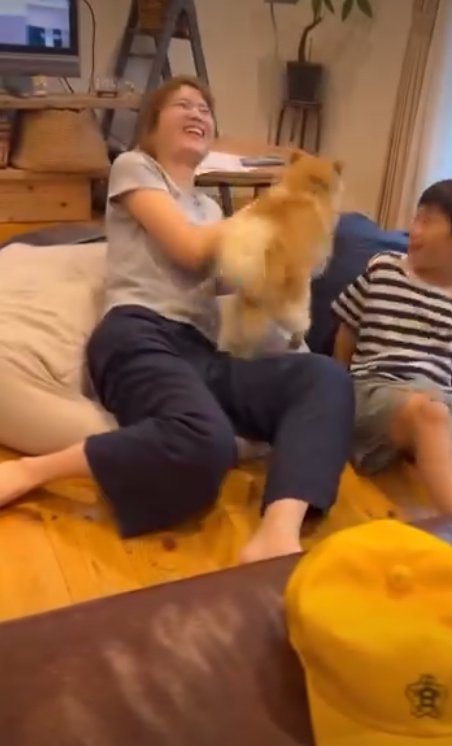 止めに入る犬