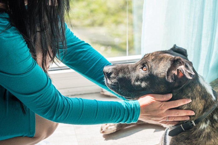 青い服女性と犬