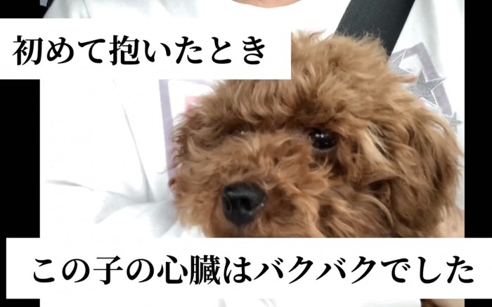 緊張…！