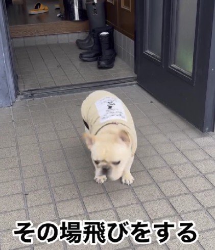 その場でピョン！