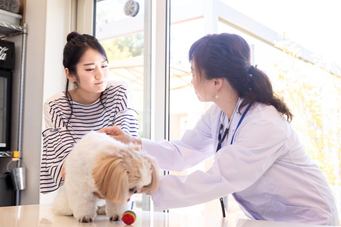 病院を訪れた女性と犬