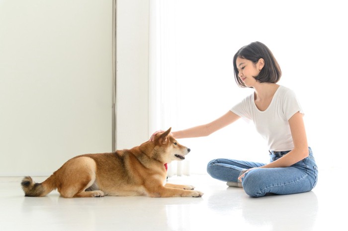 柴犬と向き合って座る女性