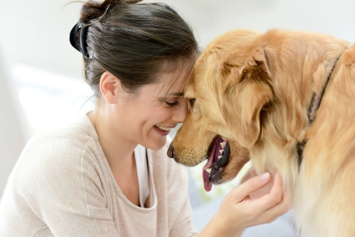 幸せそうな犬