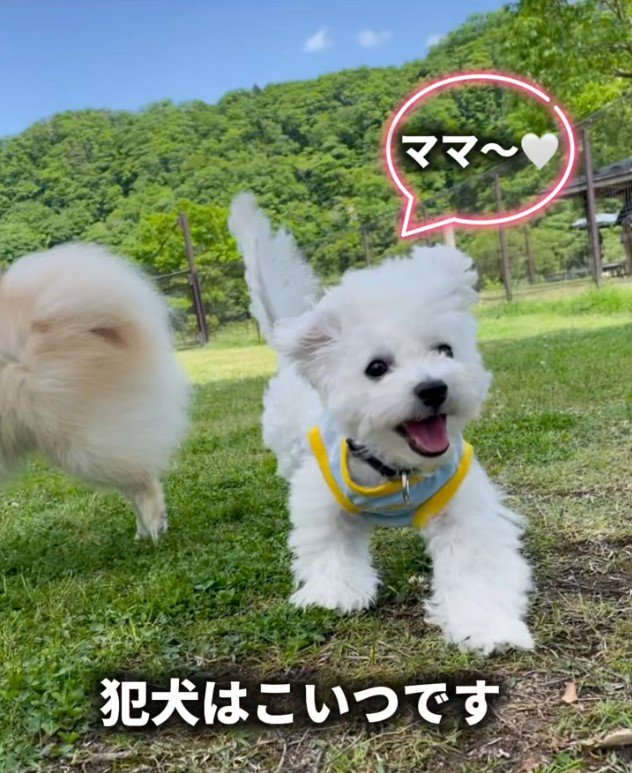 お友達に嫉妬されたむぎ君⑩