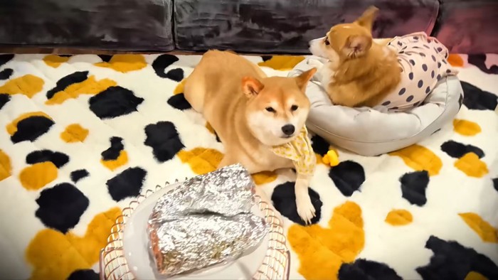 ストーブでお芋を焼きます