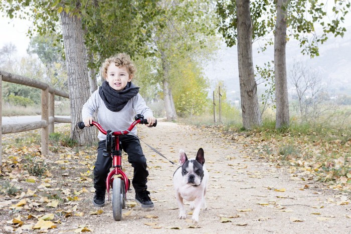 自転車に乗る子供と犬