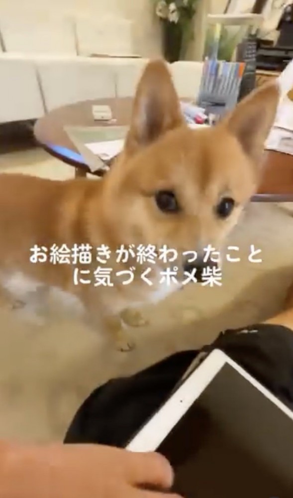 きた！！
