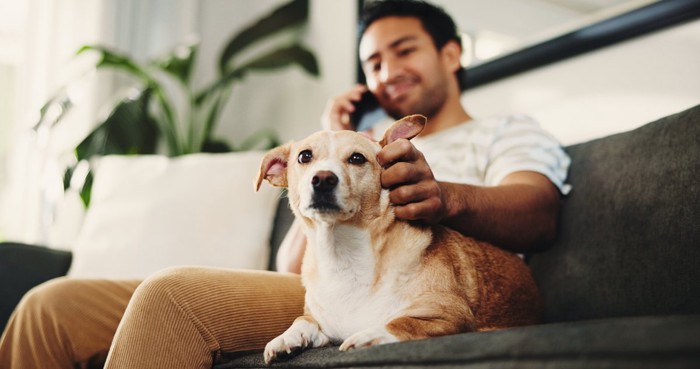 電話する男性と隣に座る犬