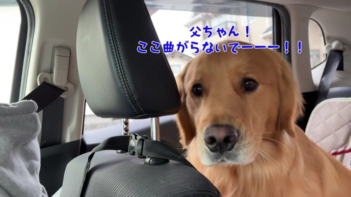 絶望したようなお顔に