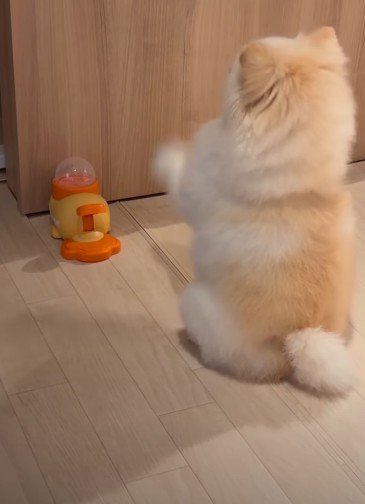 「お願いだから出てきて!」