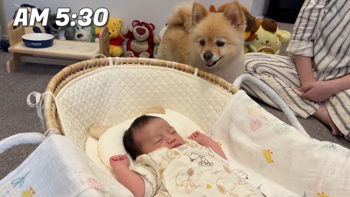 「おはよう♪今日も可愛いな~」
