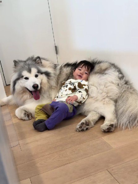 投稿主さんの存在に気付いた