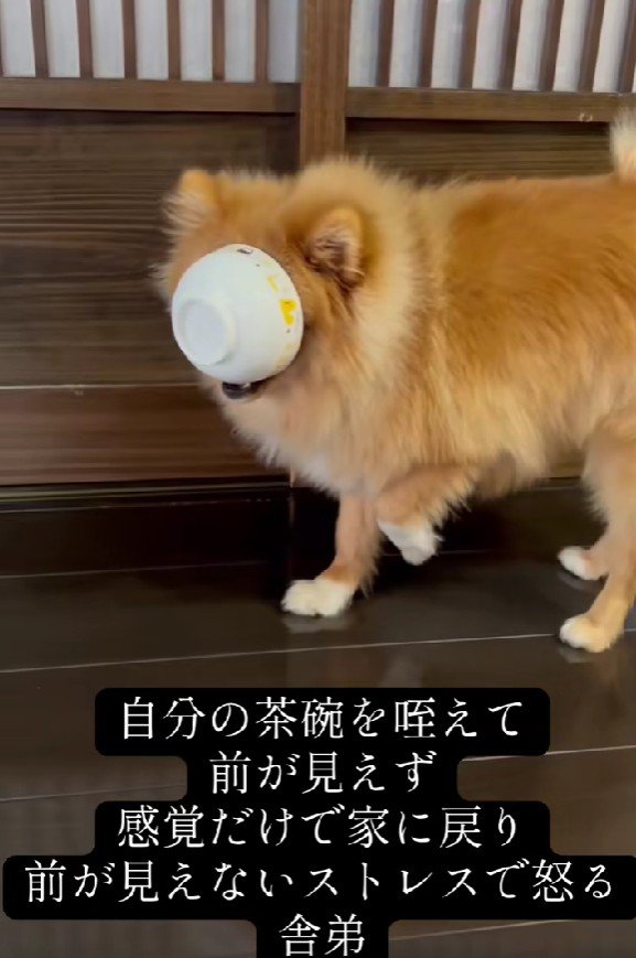 お茶碗がジャストフィット