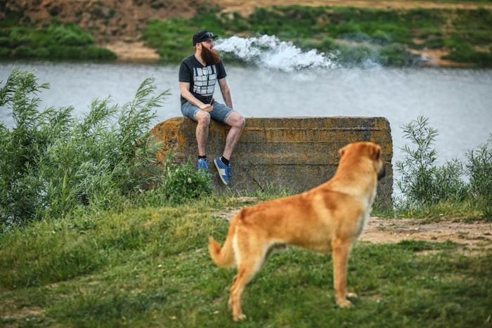 タバコを吸う人を遠巻きに見つめる犬