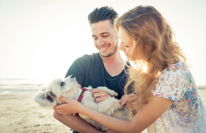 海で写真を撮る犬とカップル