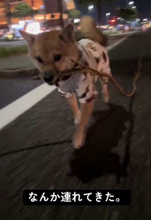 満足そうな姿が可愛い♡