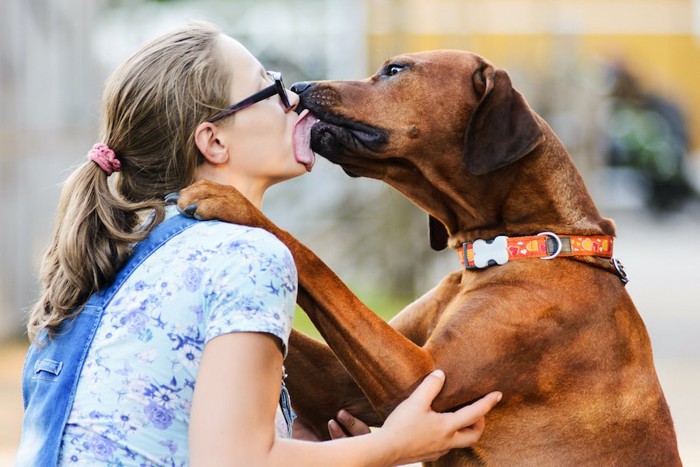 立ち上がって飼い主の顔を舐める大型犬