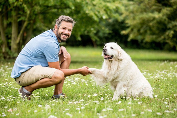 男性と握手する犬