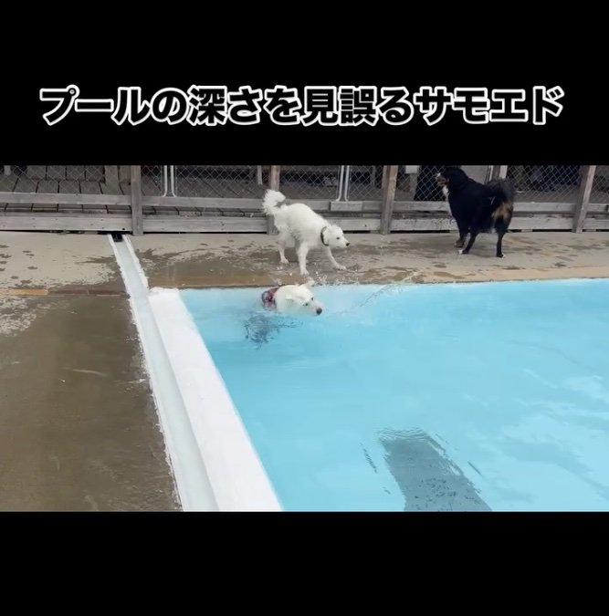 あたふた