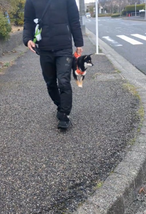 抱えられて横を向く犬1