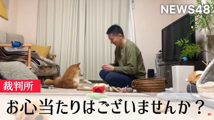 笑顔が止まらない飼い主と寝転ぶ柴犬