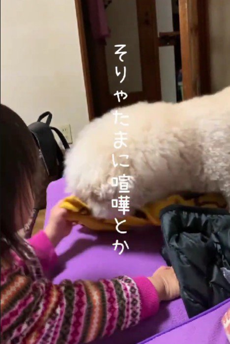 喧嘩をすることも